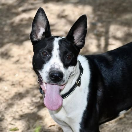Lady Athena photo