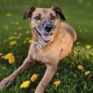 Just like her name Panna Cotta is soft sweet and sure to bring comfort and joy to anyone she meet