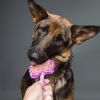 Lucy photo 1