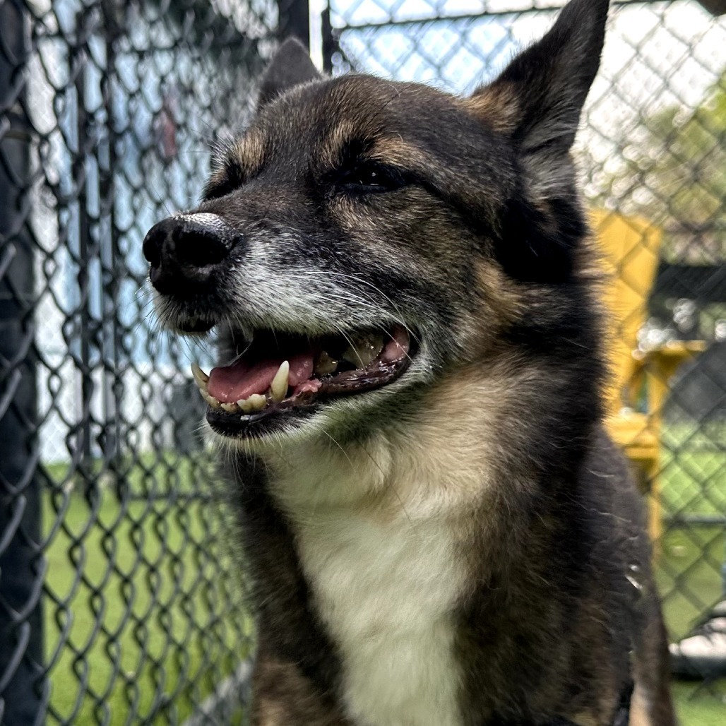 Lolita