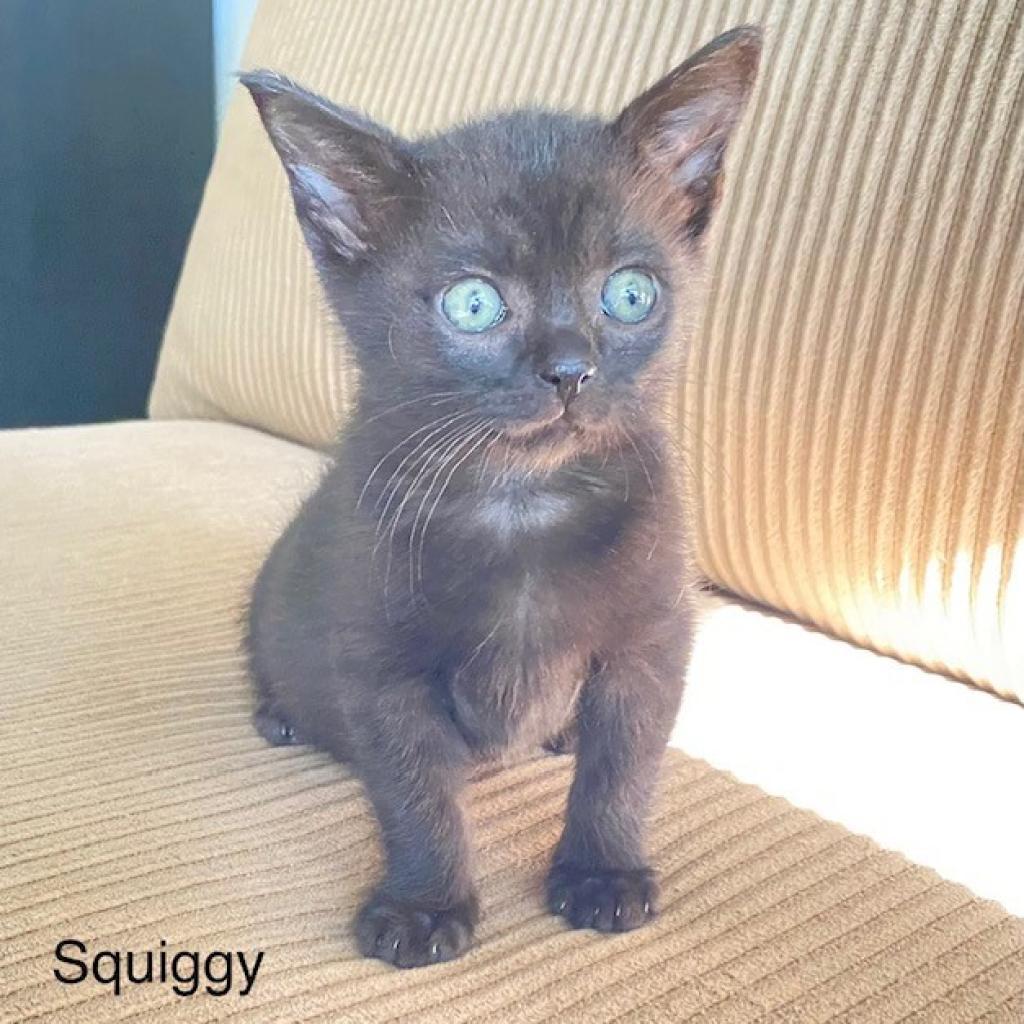 Squiggy