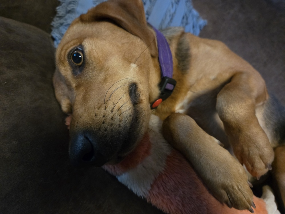 Tillie