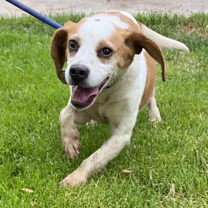 Xena-Costa Mesa Location