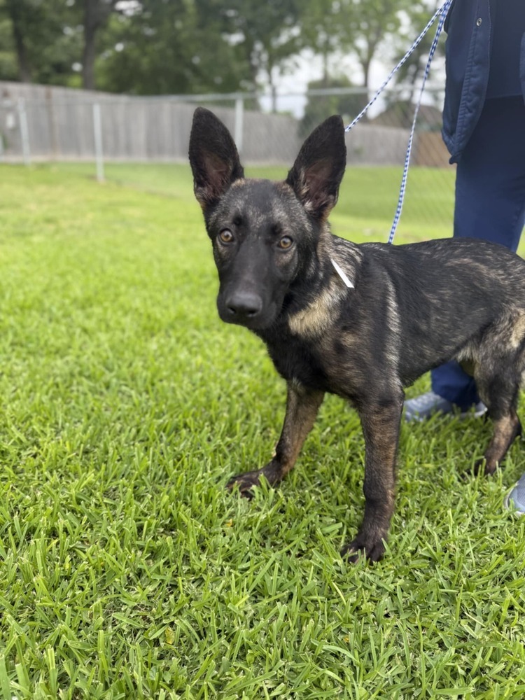 Penelope - Located in TX