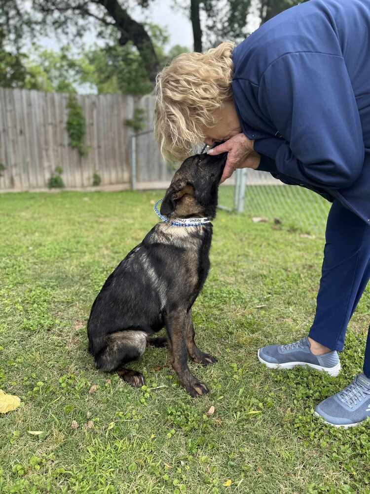 Penelope - Located in TX