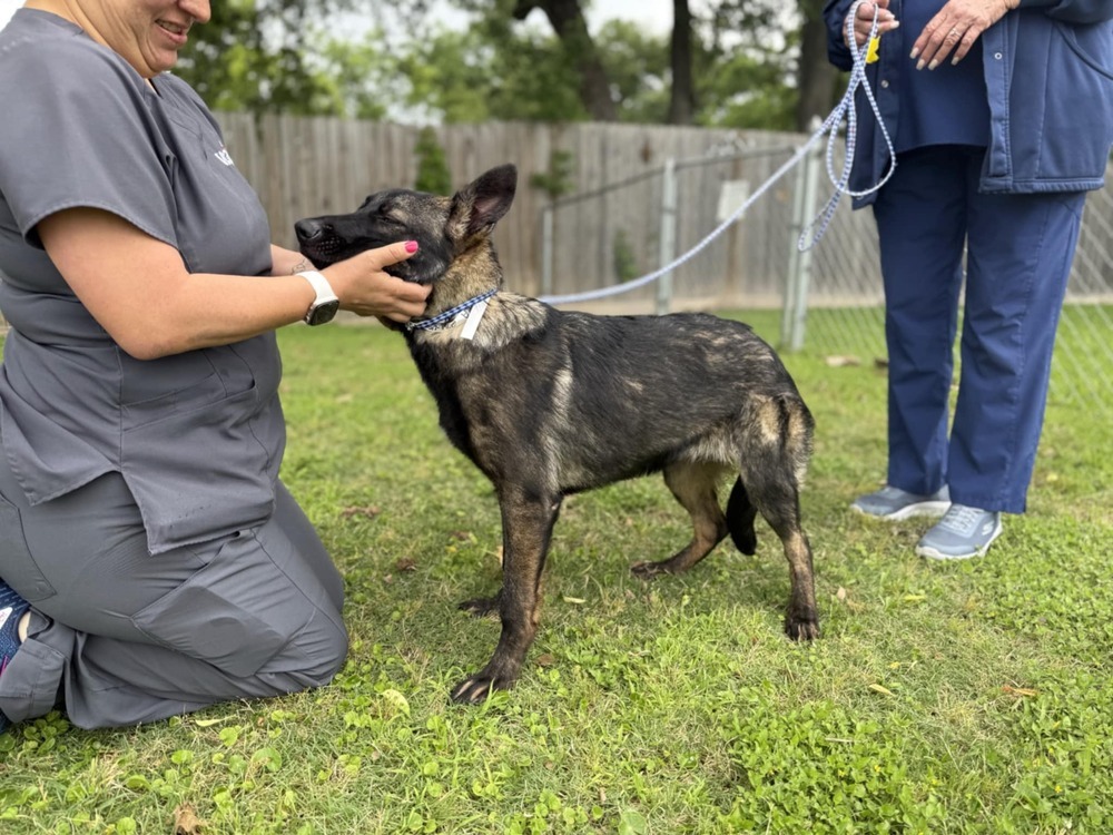 Penelope - Located in TX