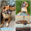 Grizzly - Call for Appt photo 4