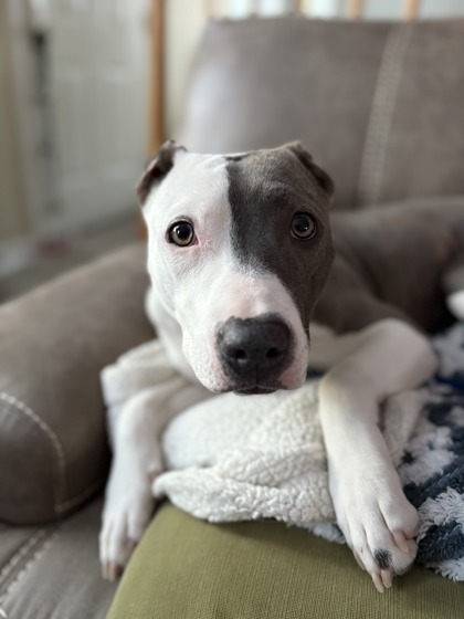 Gwinnie