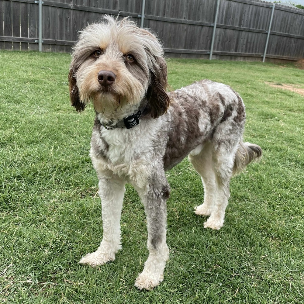 Max