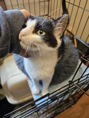 Skylar, Young Female unknown