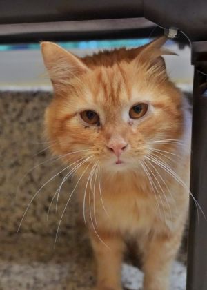 Warden came from a severe neglect case but he hasnt let it break his spirit Hes loving playful