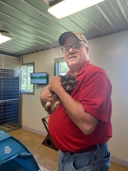 Fluffbutt, an adoptable Cymric, Domestic Short Hair in Picayune, MS, 39466 | Photo Image 3
