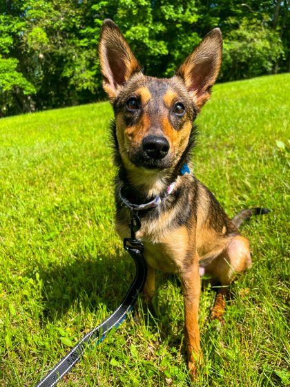 Jack