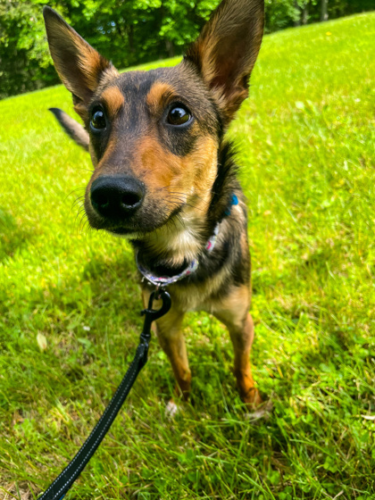 Jack