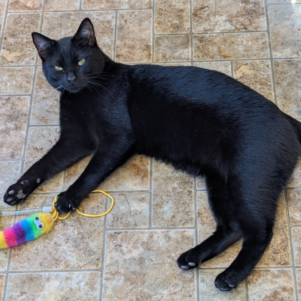 Salem