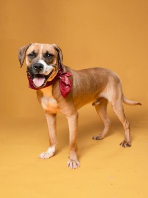 Roscoe