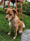 Tucker * photo 1