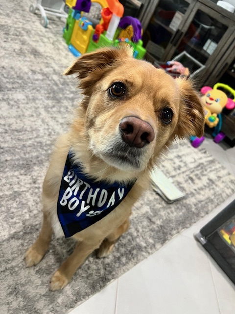 Tucker *