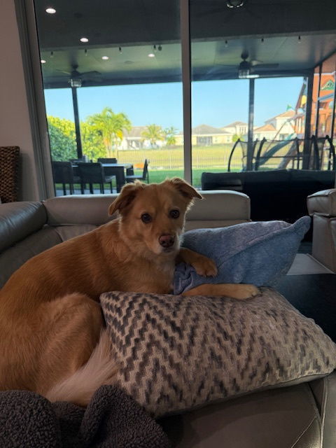 Tucker *