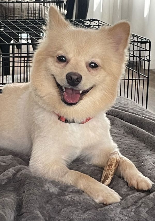 Kash