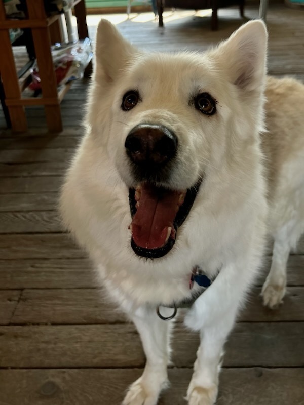 Marley