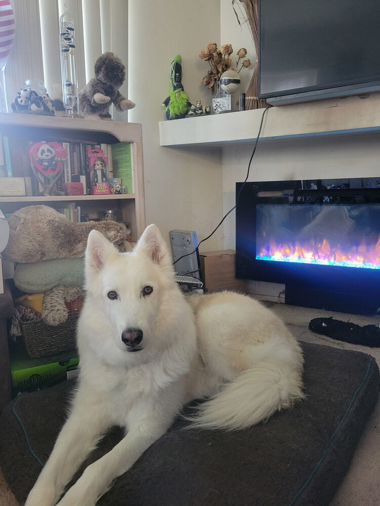 Marley
