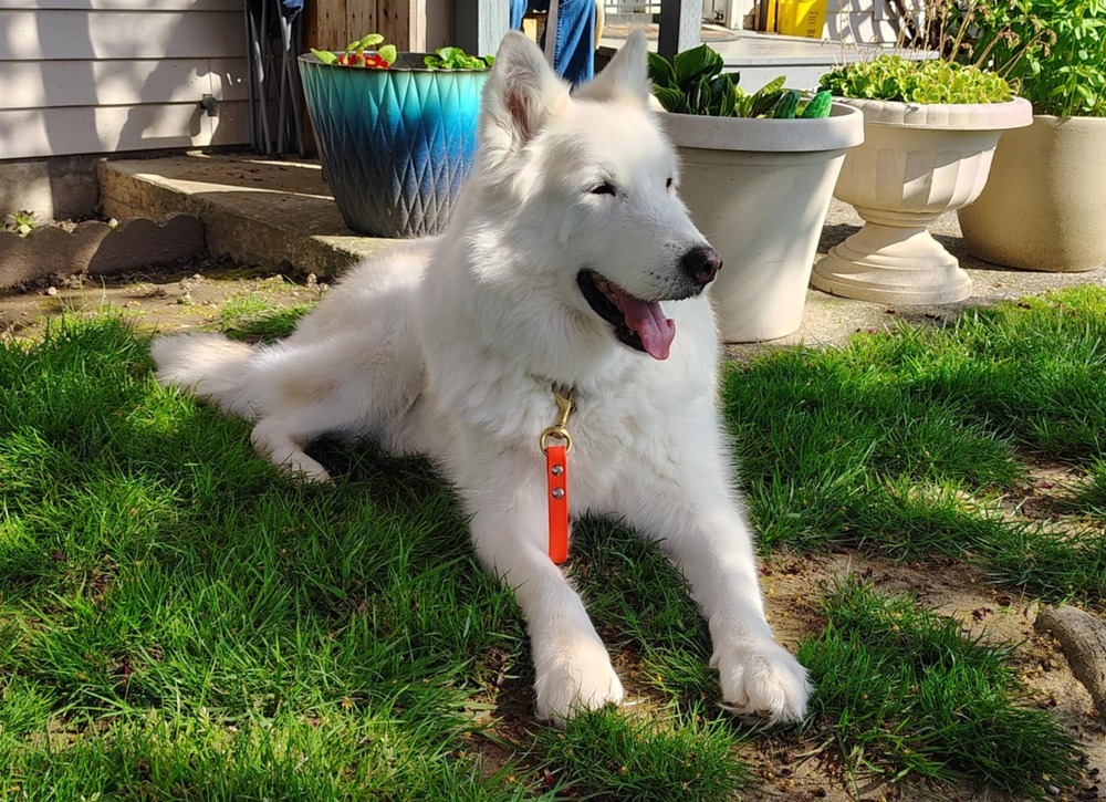 Marley