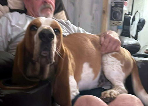 ROSCOE - ADOPTION PENDING! 1