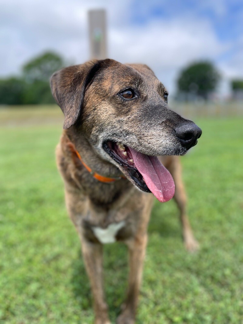 Tevye/Tundra Photo