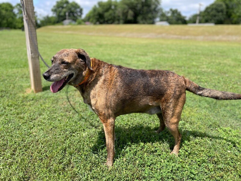 Tevye/Tundra Photo