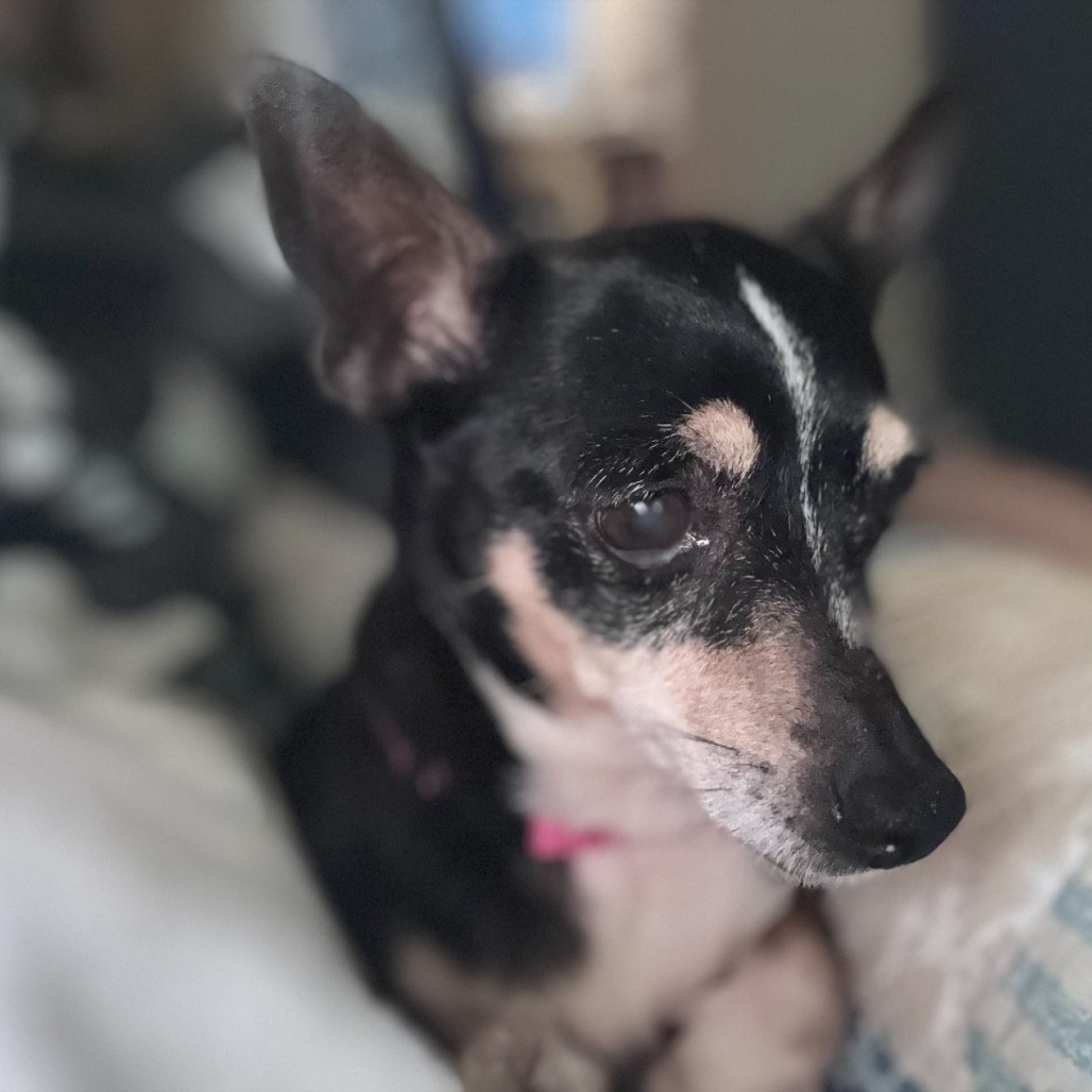 Lola
