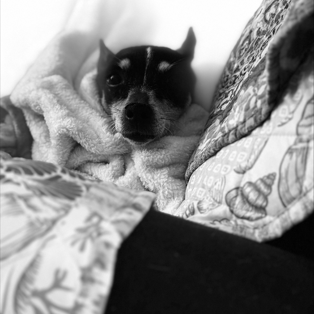 Lola