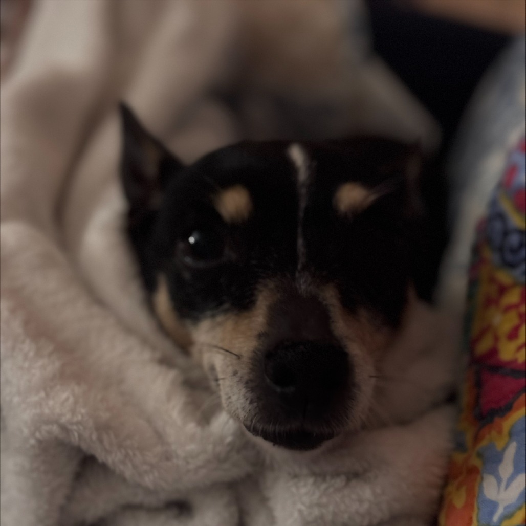 Lola