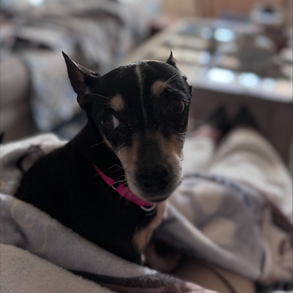 Lola