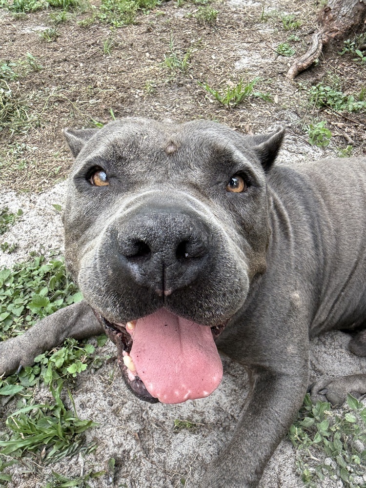 Titus