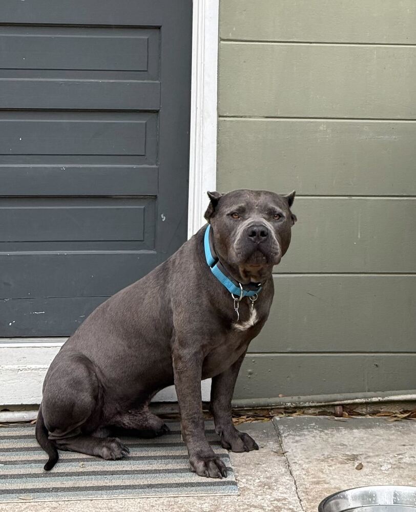 Titus