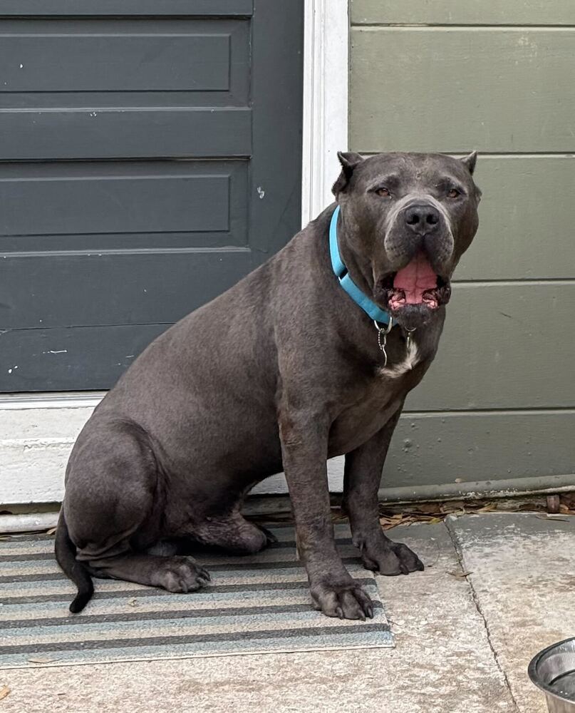 Titus