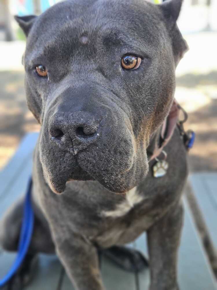 Titus