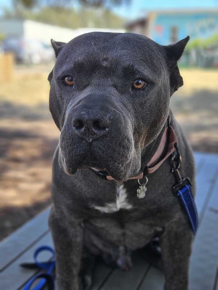 Titus