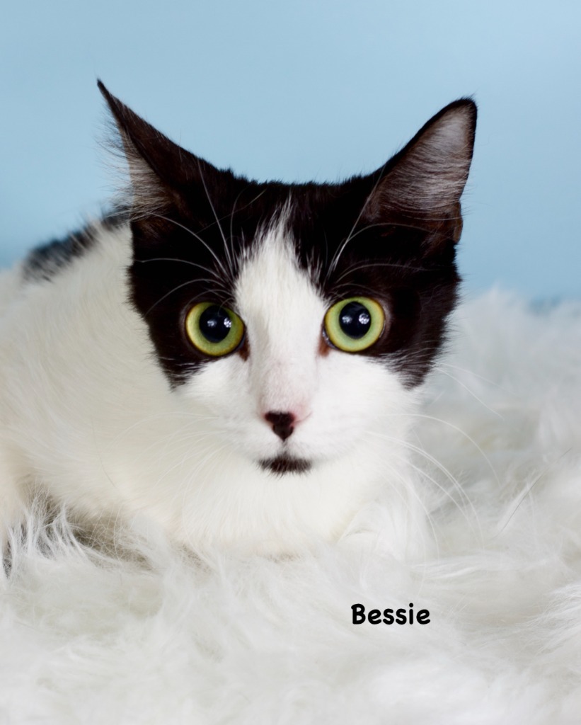 Bessie