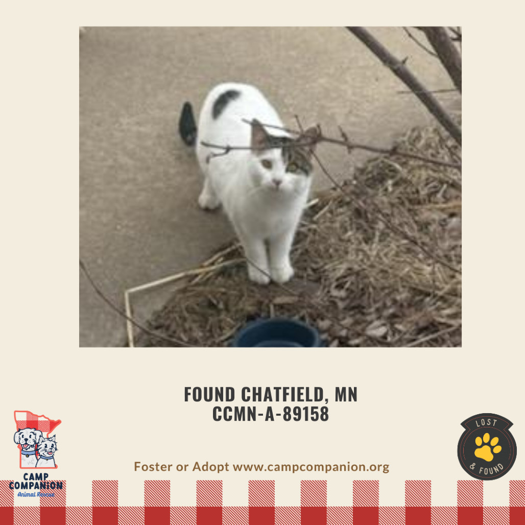 Found Chatfield MN