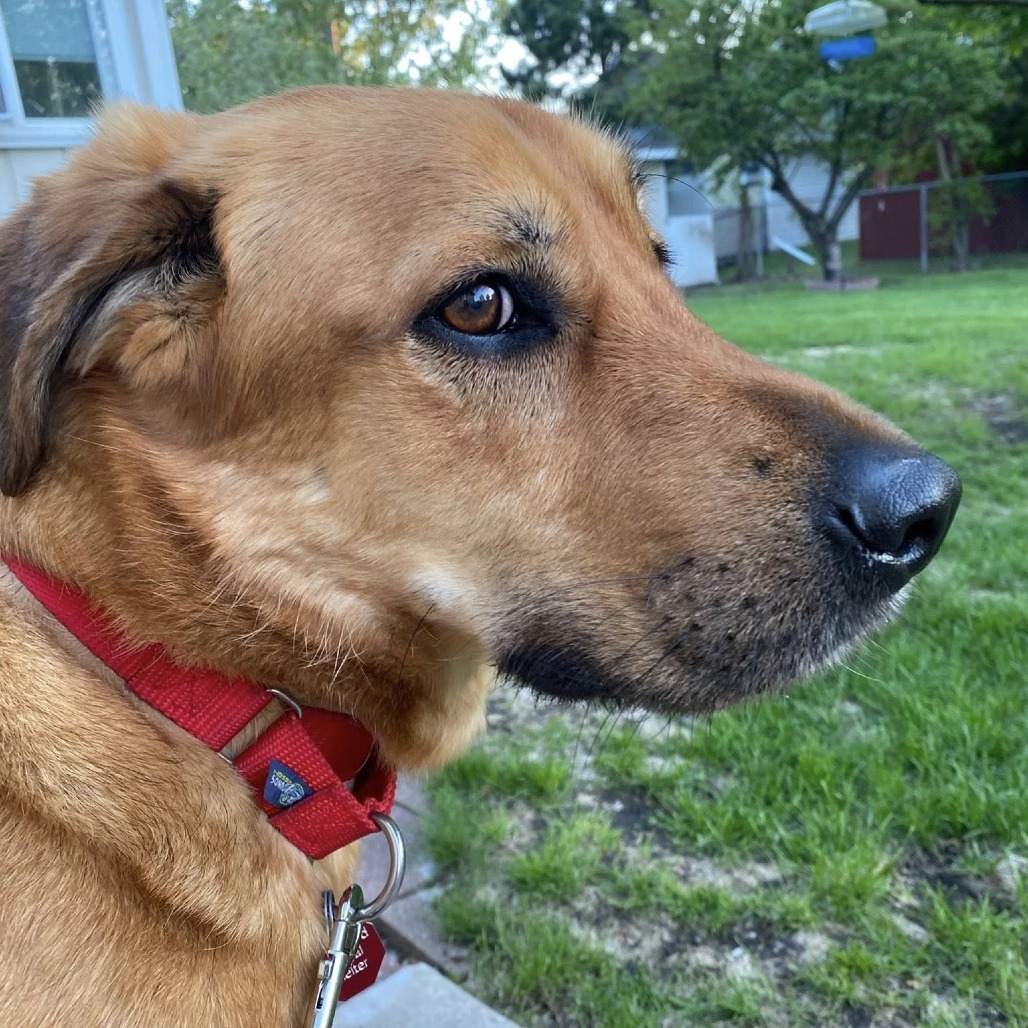 Casey