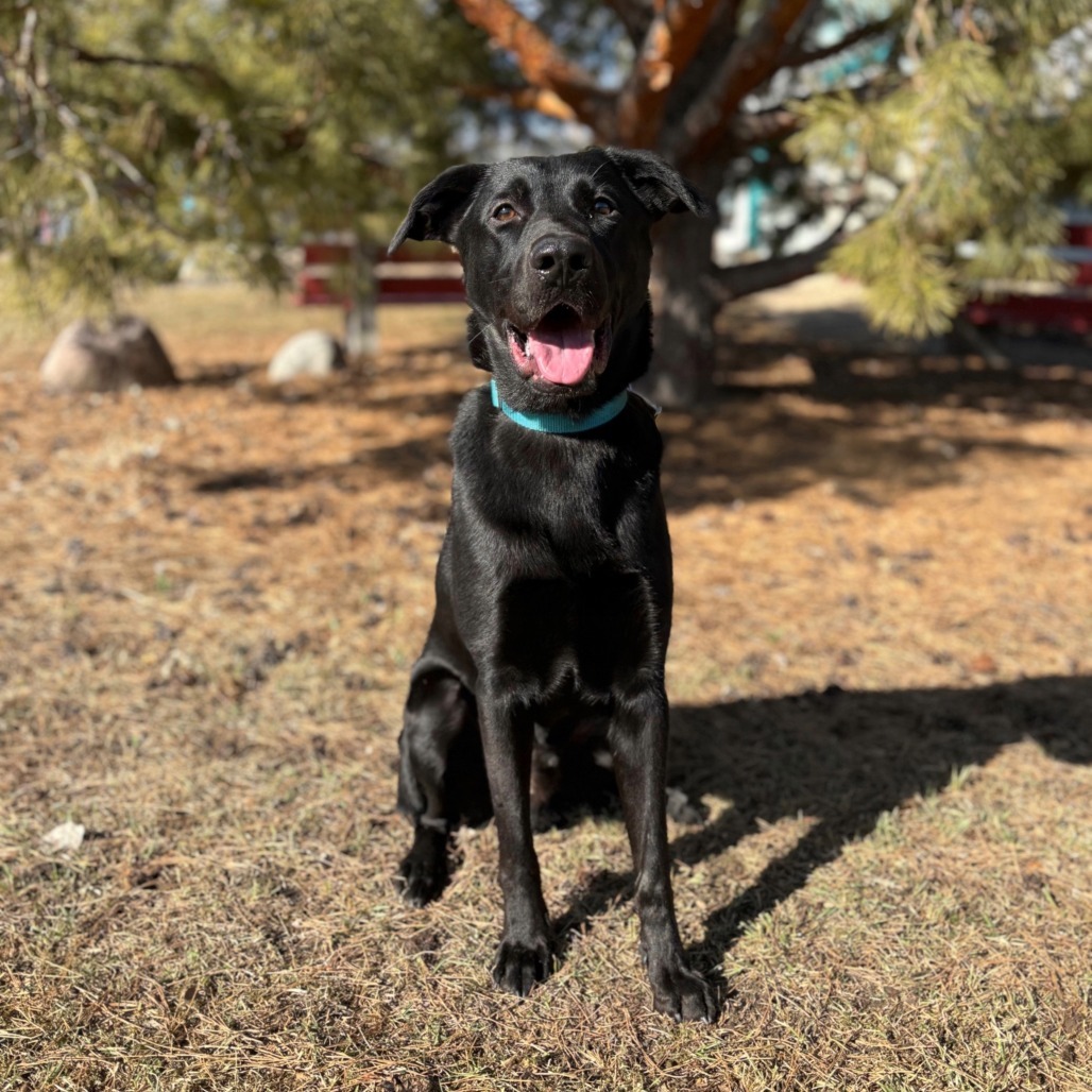 Cash--In Foster