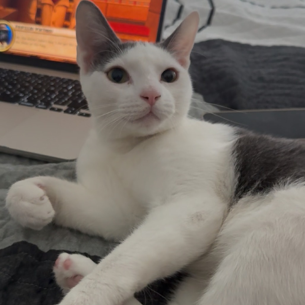 Mercury