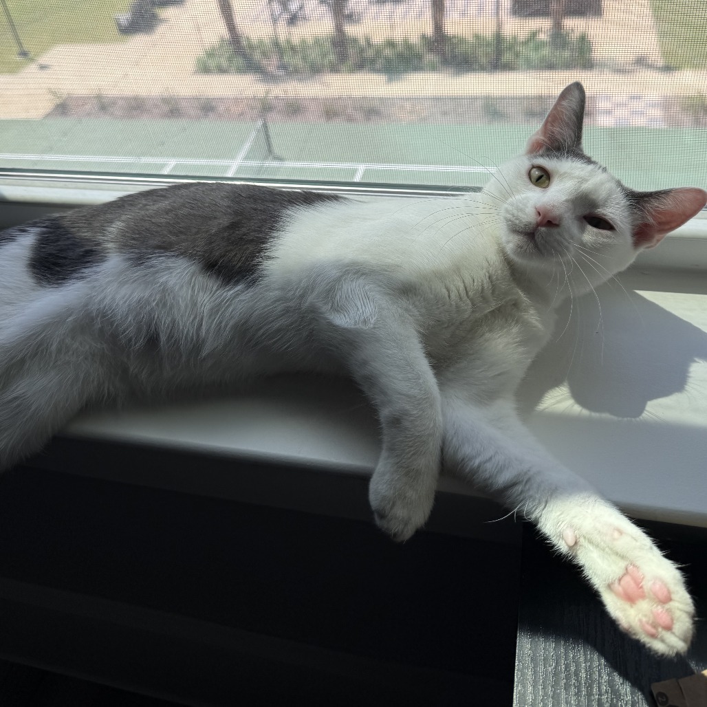 Mercury