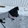 Arya - Home to Home photo 2