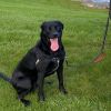 Arya - Home to Home photo 3