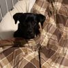 Arya - Home to Home photo 4
