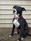 Becky - 25124 photo 1