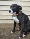 Becky - 25124 photo 3